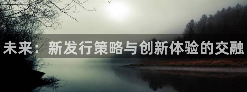 广州非凡游戏官网运动服：未来：新发行策略与创新体验的交融
