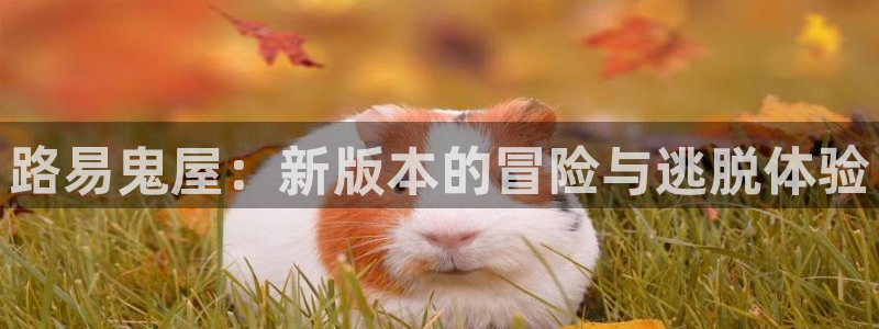 非凡游戏登录注册账号:路易鬼屋:新版本的冒险与逃脱体验
