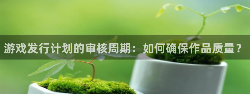 非凡游戏官网涂料(北京)有限公司：游戏发行计划的审核周期：如何确保作品质量？