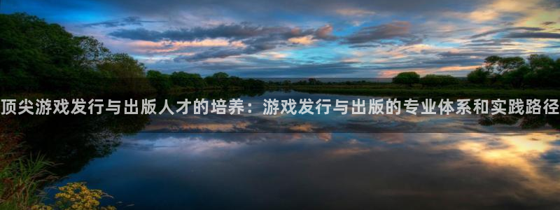 非凡游戏官网子的所有小说：顶尖游戏发行与出版人才的培养：游戏发行与出版的专业体系和实践路径