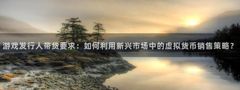 非凡游戏登录注册:游戏发行人带货要求:如何利用新兴市场中的虚拟货币销售策略?