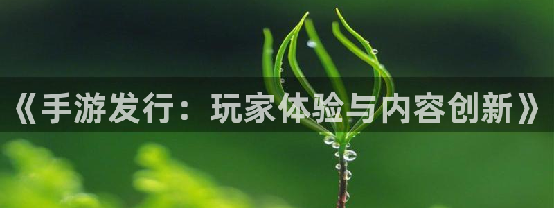 广州非凡游戏官网网络科技有限公司怎么样