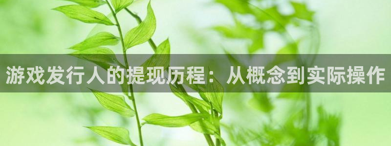 非凡游戏注册平台官网下载：游戏发行人的提现历程：从概念到实际操作
