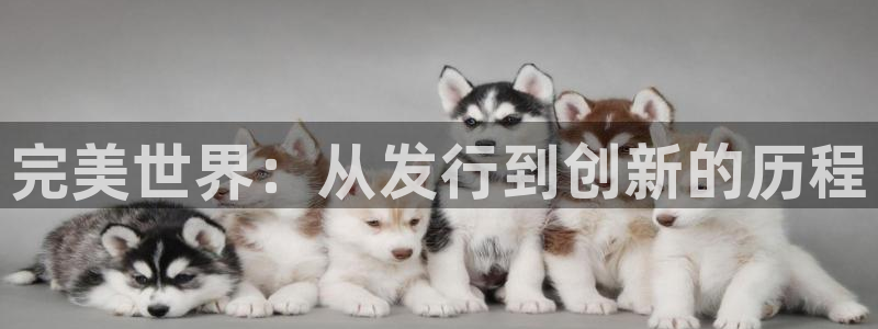 非凡游戏注册方法有哪些软件：完美世界：从发行到创新的历程