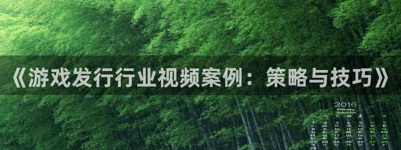 非凡游戏平台代理条件怎么样：《游戏发行行业视频案例：策略与技巧》