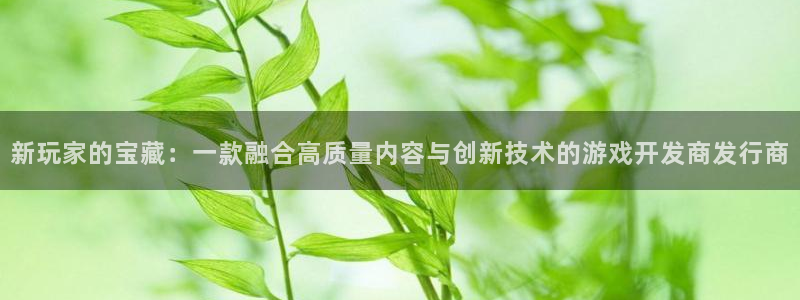 非凡游戏注册方法视频：新玩家的宝藏：一款融合高质量内容与创新技术的游戏开发商发行商