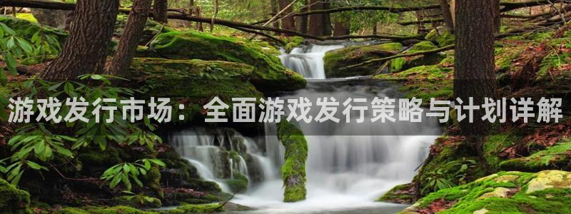 非凡游戏注册方法是什么软件：游戏发行市场：全面游戏发行策略与计划详解