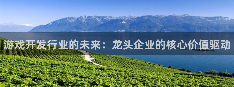 非凡游戏官网环境