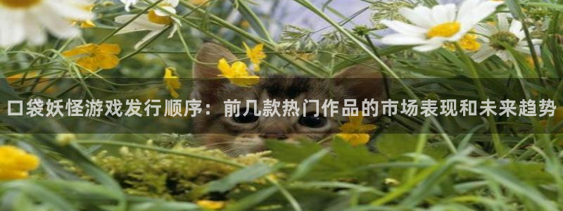 非凡游戏游戏平台介绍