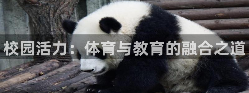 678体育知识：校园活力：体育与教育的融合之道