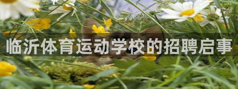 678体育官网地址：临沂体育运动学校的招聘启事