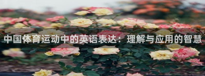 678体育官网地址：中国体育运动中的英语表达：理解与应用的智慧