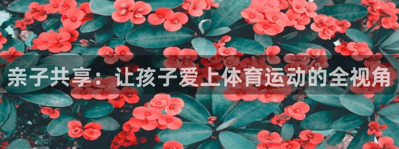 678体育官网：亲子共享：让孩子爱上体育运动的全视角
