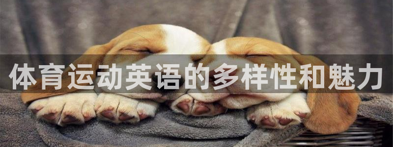 皇冠678体育：体育运动英语的多样性和魅力