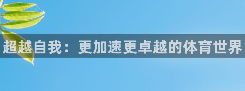 678体育官网：超越自我：更加速更卓越的体育世界