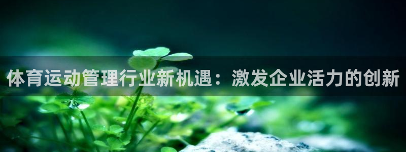 678体育官网下载：体育运动管理行业新机遇：激发企业活力的创新